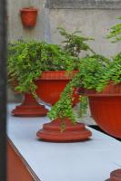 Camera Tripla Standard