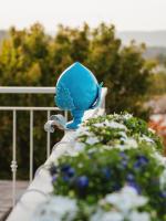 Le dimore di Ines - con piscina - B&B Locorotondo
