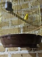 Mekhtar famili 18th century old hause historical UNESCO HERITAGE List 1 minutes to Bukhara Old Town Square Est-Since 1826 for Walk in Guest PARKING, COZY ROOM, BEST LOCATION AND STRONG WIFI - Chambres d’hôtes Boukhara