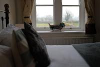 King Room with Garden View