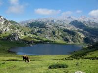 Alojamiento Picos de Europa VUT-2458-AS - B&B Arriondas