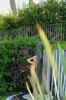 Villa To Ischia With Love - B&B