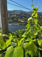 Douro Nest House - B&B Anreade