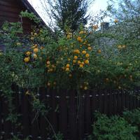 Uroczy domek letniskowy. - B&B Falsztyn
