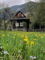 Chichotavá breza - B&B Liptovská Anna