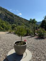 Gites Les Rochers de Plaisians - B&B
