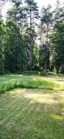 Leśne Domki Wejsuny - B&B