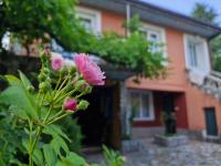Apartment 086 - Bed and Breakfast Cetinje