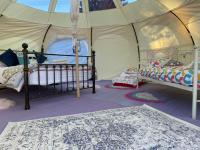 Wild Garlic Stargazer Tent - B&B Spittal