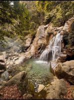 Himalayan Wooden Cottage camping & Cafe Dalhousie - Ferienwohnung Dalhousie