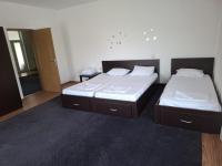 Pensiunea piticilor - B&B Techirghiol