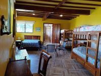 Bed in 4-Bed Mixed Dormitory Room