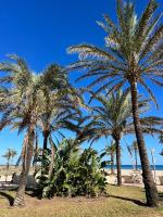 Apartamento Monika Playa y Grau - B&B Gandía