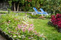 Quinta Sao Roque - B&B São Roque