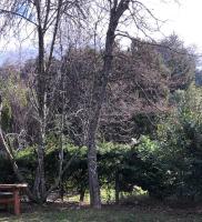 Tu Casa en la Naturaleza - B&B Bariloche