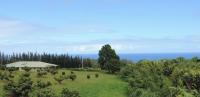 Suite King con Vista Oceano