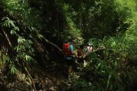 Yazama Homestay ยาซาม่า โฮมสเตย์ - Ferienwohnung Ban Pang Huai Kaeng