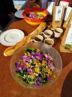 Fabetmie - Bed and Breakfast Mormoiron