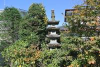 日光ゲストハウス - B&B Nikkō