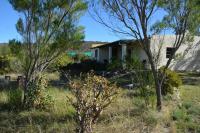 Family Bungalow