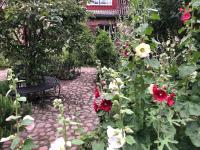 Nova Harmonia - B&B Sankt Ibb