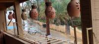 Sehma Guest House بيت السحمه للضيافه - Chambres d’hôtes Al Ḩamrā’