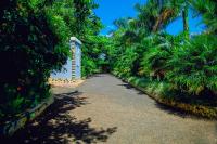 Suite mit 3 Schlafzimmern