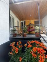 Under the forest - B&B Stepantsminda