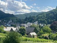 Mosel Valley View Apartment - Budget-Friendly with Garage - Ferienwohnung Traben-Trarbach