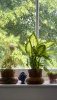 Bright, Spacious, Charming & Fully Equipped Victorian Flat in Quiet Brixton - B&B Londra