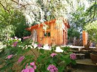 Cabane en forêt - B&B