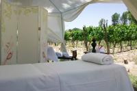 Caminos De Uco - posada de campo- - B&B Tunuyán