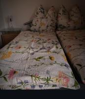 Ferienwohnung am Wald 2 - B&B Sappenfeld