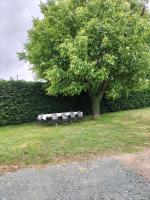 Indivision Bernard Pillaud - Bed and Breakfast Chantonnay