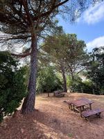 LEIRIA Side - B&B Leiria