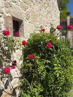 Chambre d'Hôtes de luxe - Domaine de Gargoris I Piscine et nature - Chambres d'hôtes Pont-du-Casse