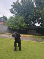 Drimnagh House - Bed and Breakfast Dublin