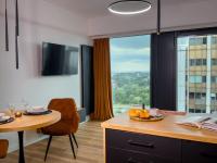 URBAN APARTMENTS Global SkyLine - 23rd Floor No 8 - Air Condition - Free Garage - Ferienwohnung Kattowitz