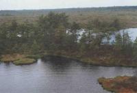 Bungalow I (4 Erwachsene) 