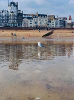 Sea Spray Victorian Apartment - B&B St. Leonards