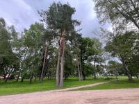 RUMIDO Station - B&B Valmiera