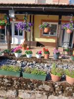 Apartmani Ruza - B&B Krasno Polje