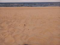 Pie dzintara jūras - Ferienwohnung Apšuciems