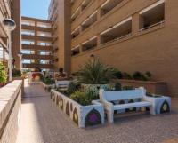 Vitamina D todo el año entre playa y montaña - Chambres d'hôtes El Borseral