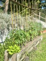 Casa da nascente douro - Bed and Breakfast Paços de Gaiolo