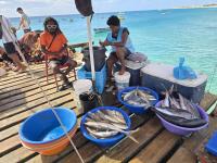 T0 Bounty - B&B Santa Maria