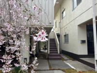 紅富士苑 - Ferienwohnung Yamanaka