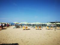 Oleandro Apartment by the sea in Tirrenia - Bed and Breakfast Tirrenia