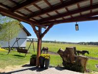 Agroturystyka Dom Skowronek - B&B Legbąd