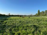 Ô Coeur des Champs - Ferienwohnung Rety